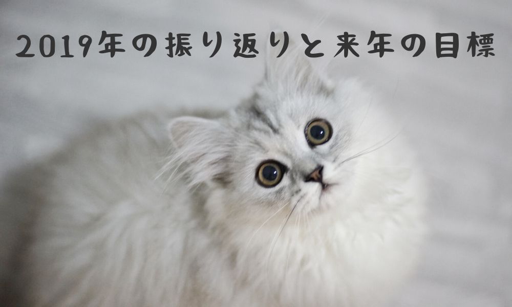2019年の振り返りと、今後のゆるい目標