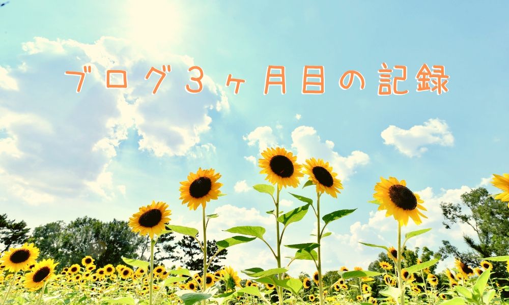 ブログ3ヶ月目の記録