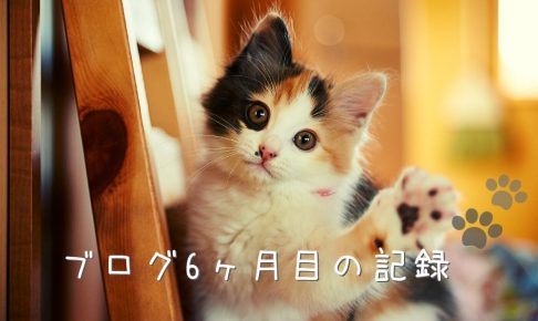 ブログ6か月目の記録