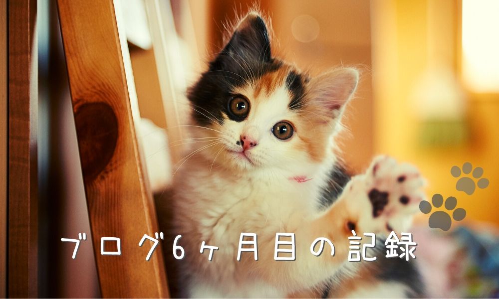 ブログ6か月目の記録