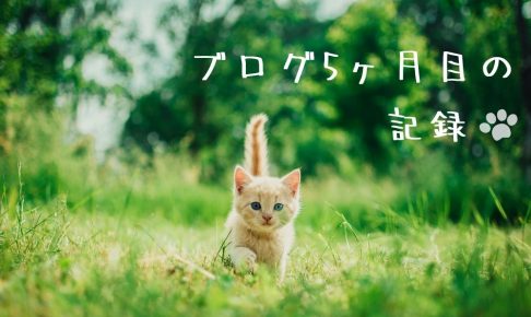 ブログ5ヶ月目の記録